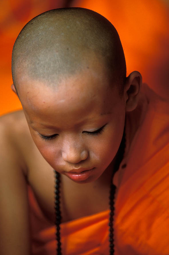 Novice Monk, Thailand Novice Monk