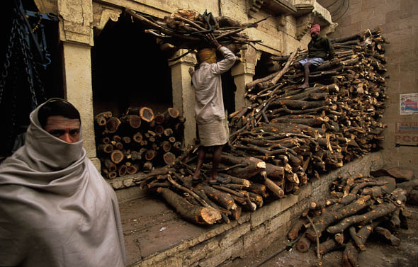 Firewood Firewood