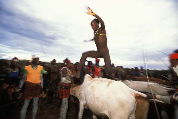 The jump The bull jump